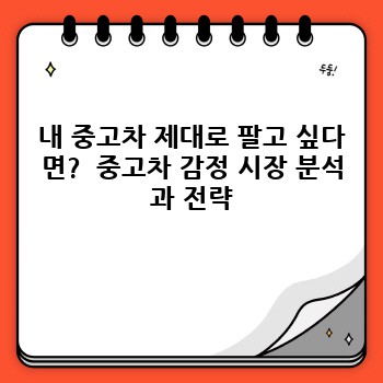 4437631d7cb33fff7b3b9129f26397ef.jpg