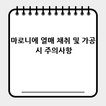 76602f67ba5f3fea71003b903af91f8e.jpg