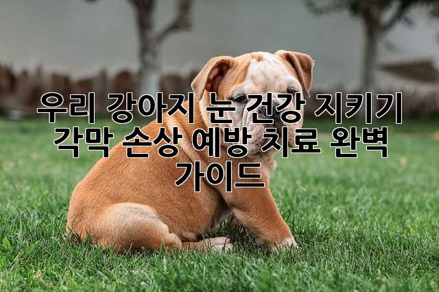 a04535bbf5529c4ad7e67822dcbeabe8.jpg