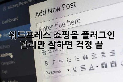 워드프레스 쇼핑몰? 플러그인 관리만 잘하면 걱정 끝! ✨