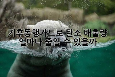 기후동행카드로 탄소 배출량 얼마나 줄일 수 있을까?