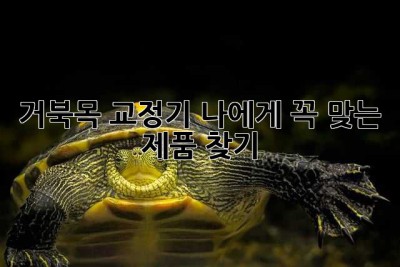 거북목 교정기, 나에게 꼭 맞는 제품 찾기!
