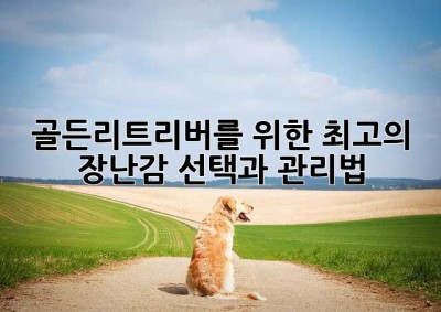 골든리트리버를 위한 최고의 장난감 선택과 관리법