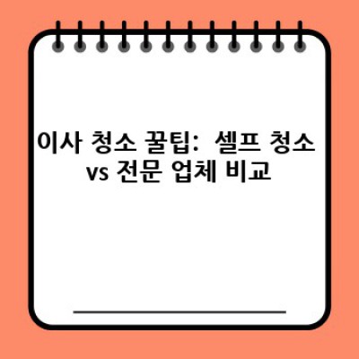 이사 청소 후기 BEST 3: 믿을 수 있는 업체 선택 가이드