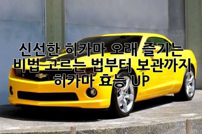 신선한 히카마 오래 즐기는 비법: 고르는 법부터 보관까지! (히카마 효능 UP!)
