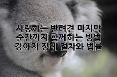 사랑하는 반려견, 마지막 순간까지 함께하는 방법: 강아지 장례 절차와 법률