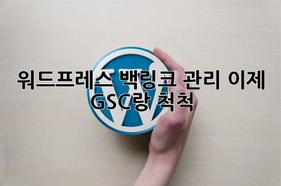 워드프레스 백링크 관리, 이제 GSC랑 척척! ✨