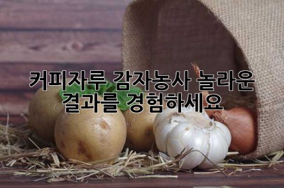 커피자루 감자농사, 놀라운 결과를 경험하세요!