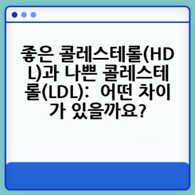 콜레스테롤: 건강과의 균형, 제대로 알고 관리하기