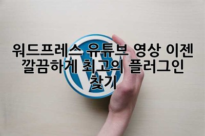 워드프레스 유튜브 영상, 이젠 깔끔하게! 최고의 플러그인 찾기