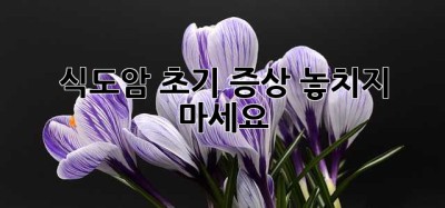 식도암 초기 증상: 놓치지 마세요!