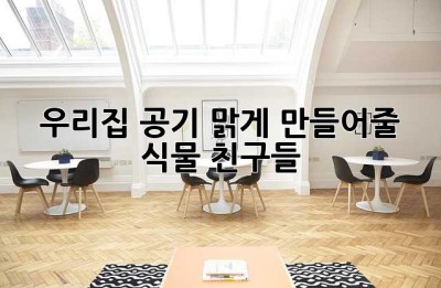 우리집 공기, 맑게 만들어줄 식물 친구들🌿