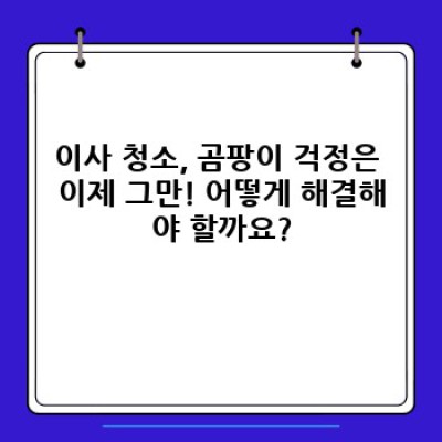 이사 청소 완벽 가이드: 곰팡이 제거 전문가의 팁과 예방법