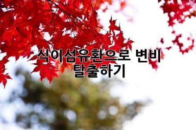 식이섬유환으로 변비 탈출하기!