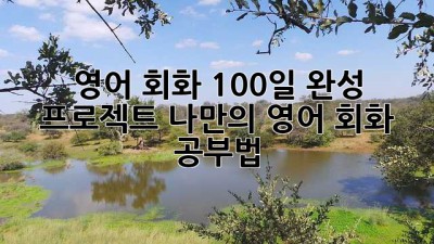 영어 회화 100일 완성 프로젝트: 나만의 영어 회화 공부법