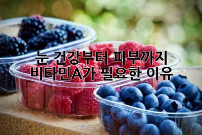 눈 건강부터 피부까지! 비타민A가 필요한 이유