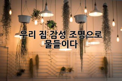 우리 집, 감성 조명으로 물들이다 ✨