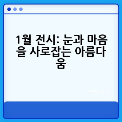 1월에 어떤 문화생활을 즐길 수 있을까요? 추천 프로그램과 놓치면 후회할 겨울 이벤트!