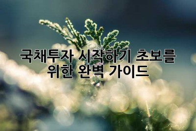 국채투자 시작하기: 초보를 위한 완벽 가이드
