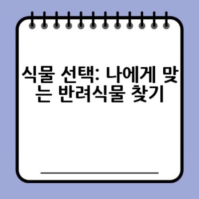 실내 식물 키우기: 초보자도 성공하는 햇빛, 물주기, 분갈이 완벽 가이드