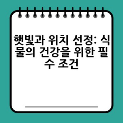 실내 식물 키우기: 초보도 성공하는 쉽고 효과적인 방법은?