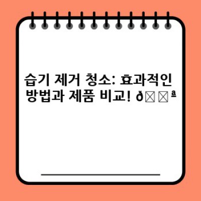 이사 청소 완벽 가이드: 습기 제거 & 곰팡이 예방으로 새 집 새 출발!