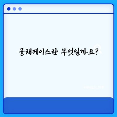 궁채케이스 완벽 가이드: 디자인, 종류, 구매 가이드까지!