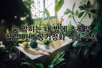 숨 막히는 내 방에 초록빛 힐링, 미니 공기정화 식물 추천🌿