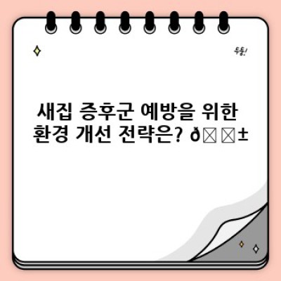 새집 청소 완벽 가이드: 새집 증후군 예방과 쾌적한 공간 만들기