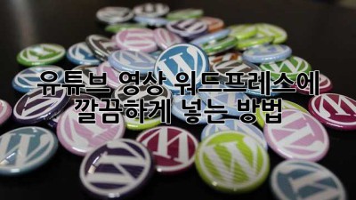 유튜브 영상, 워드프레스에 깔끔하게 넣는 방법!