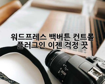 워드프레스 백버튼 컨트롤 플러그인? 이젠 걱정 끗! 😎