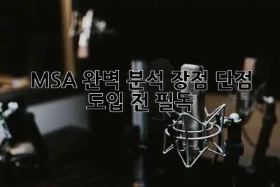 MSA 완벽 분석: 장점, 단점, 도입 전 필독! 🚀
