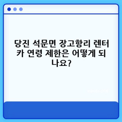 당진시 석문면 장고항리 렌터카 이용 가이드: 연령 제한 및 필수 정보 완벽 정리