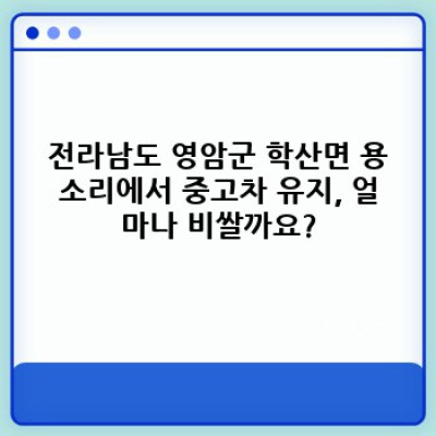 전라남도 영암군 학산면 용소리 중고차 유지비 완벽 가이드: 내 차 유지비, 얼마나 들까요?