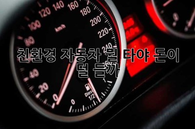 친환경 자동차, 뭘 타야 돈이 덜 들까? 🤔