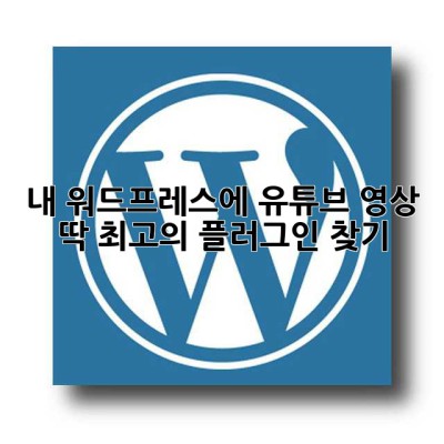 내 워드프레스에 유튜브 영상 딱! 최고의 플러그인 찾기