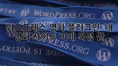 워드프레스 영화 플러그인?  내 영화 사이트, 이제 걱정 끝!