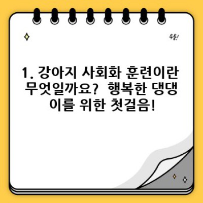 강아지 사회화 훈련: 행복한 댕댕이를 위한 필수 과정!