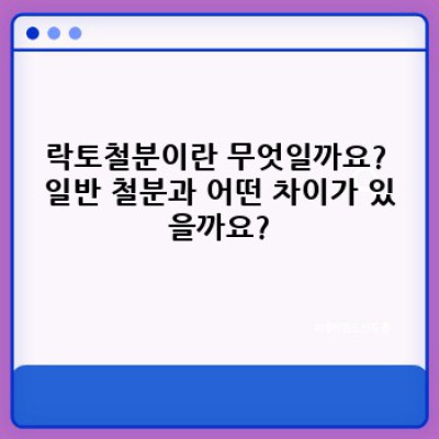 락토철분 완벽 가이드: 빈혈 극복, 건강한 삶 위한 선택 가이드