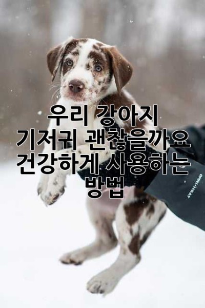 우리 강아지, 기저귀 괜찮을까요? 건강하게 사용하는 방법
