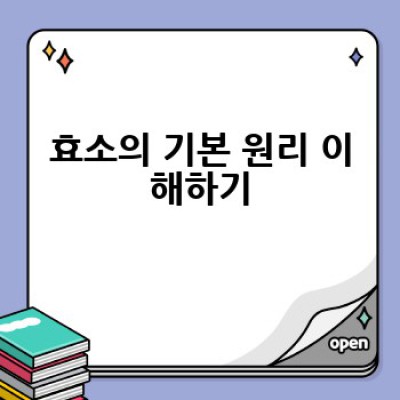 집에서 효소를 직접 만들 수 있을까요? 효소 만들기 완벽 가이드