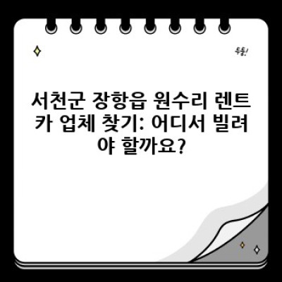 서천군 장항읍 원수리 렌트카 보험 완벽 가이드: 렌트카 이용 전 꼭 알아야 할 정보!