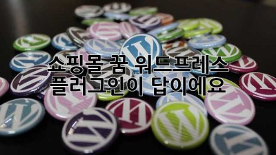 쇼핑몰 꿈? 워드프레스 플러그인이 답이에요! ✨