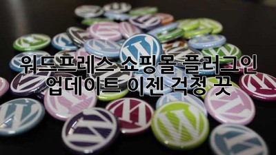 워드프레스 쇼핑몰? 플러그인 업데이트, 이젠 걱정 끗! 😎