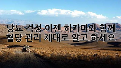 당뇨 걱정, 이젠 히카마와 함께! 혈당 관리, 제대로 알고 하세요😊