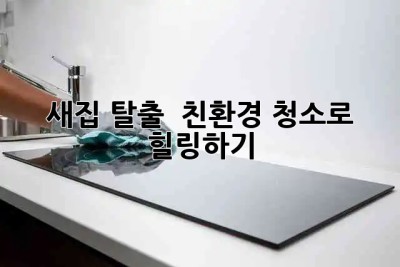 새집 탈출! ✨ 친환경 청소로 🏡 힐링하기