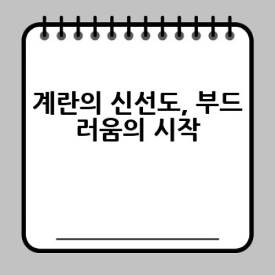 계란찜, 부드럽게 만들려면 어떻게 해야 할까요? 완벽한 계란찜 레시피와 팁!