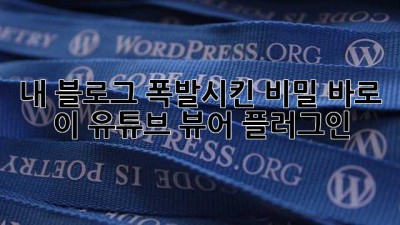 내 블로그 폭발시킨 비밀? 바로 이 유튜브 뷰어 플러그인!