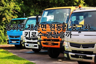 봉화군 재산면 현동리 중고차, 키로수 괜찮을까? 🤔