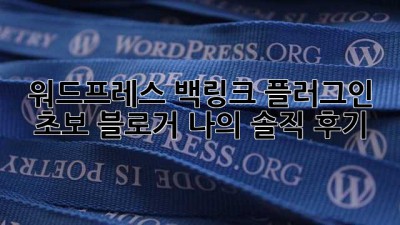 워드프레스 백링크 플러그인: 초보 블로거, 나의 솔직 후기!
